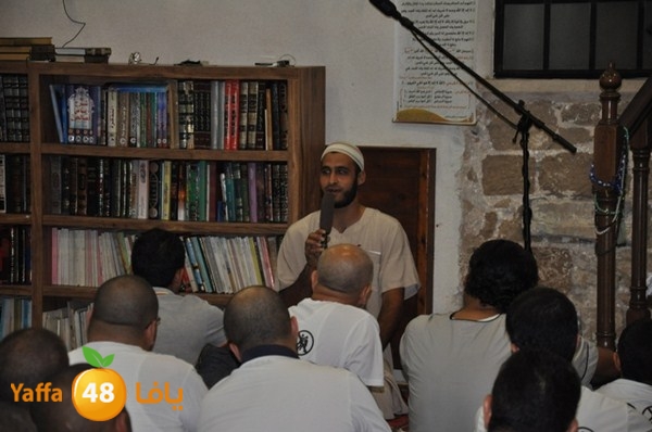 mosabakas eksek (45).JPG